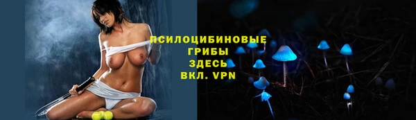 спиды Аркадак
