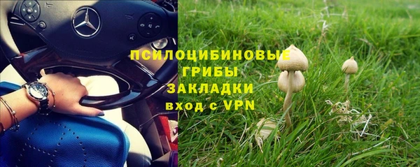 спиды Аркадак