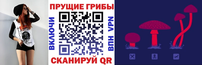 Купить  Ростов  Псилоцибиновые грибы MAGIC MUSHROOMS 
